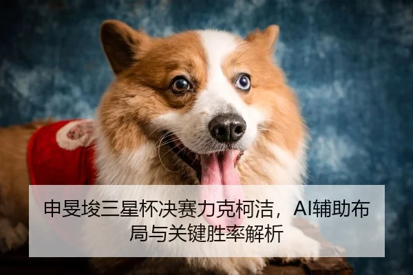 申旻埈三星杯决赛力克柯洁，AI辅助布局与关键胜率解析