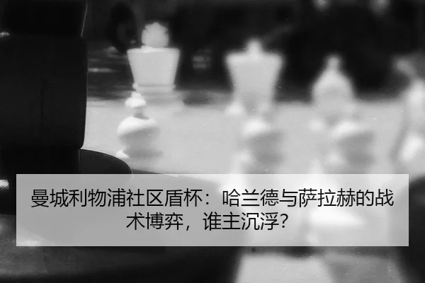 man-cheng-li-wu-pu-she-qu-dun-bei-ha-lan-de-yu-sa-la-he-de-zhan-shu-bo-yi-shui-zhu-chen-fu-3-952.jpg