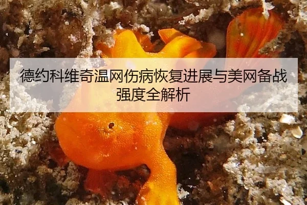 de-yue-ke-wei-qi-wen-wang-shang-bing-hui-fu-jin-zhan-yu-mei-wang-bei-zhan-qiang-du-quan-jie-xi-2-174.jpg