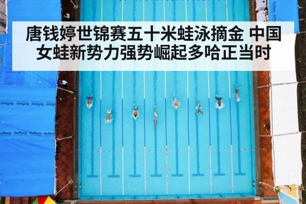 唐钱婷世锦赛五十米蛙泳摘金 中国女蛙新势力强势崛起多哈正当时